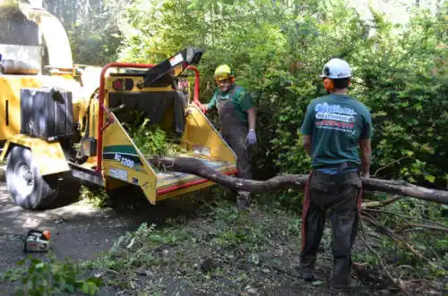 tree services Monon